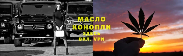 дмт Гусь-Хрустальный