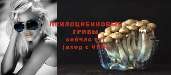 мяу мяу кристалл Гусиноозёрск