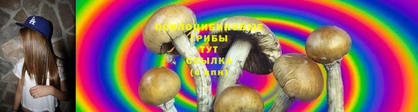 дмт Гусь-Хрустальный