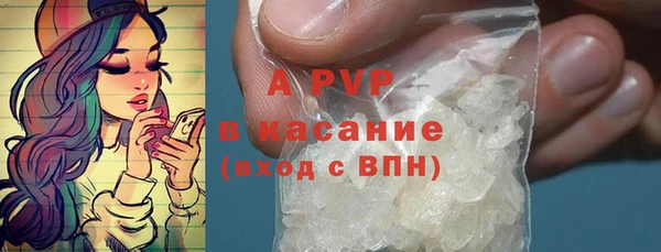 сатива Дмитриев