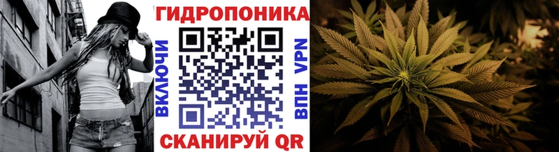 Канабис марихуана  Архангельск 